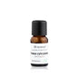 Shamasa, Citroengras Essentiële olie 100%, 15 ml